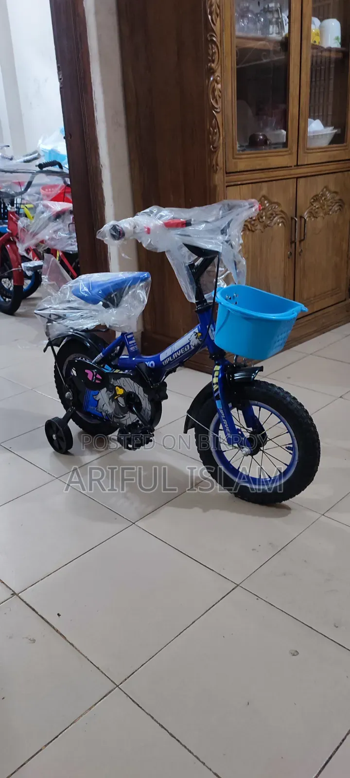 Ayan Cycle Astor