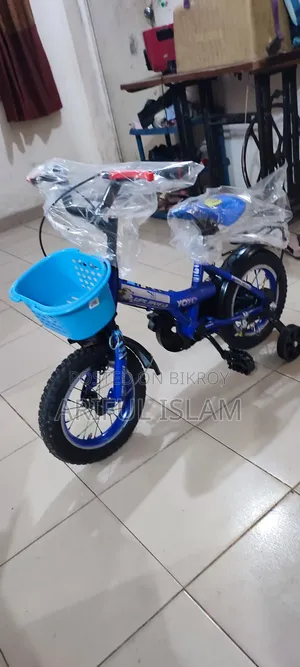 Ayan Cycle Astor