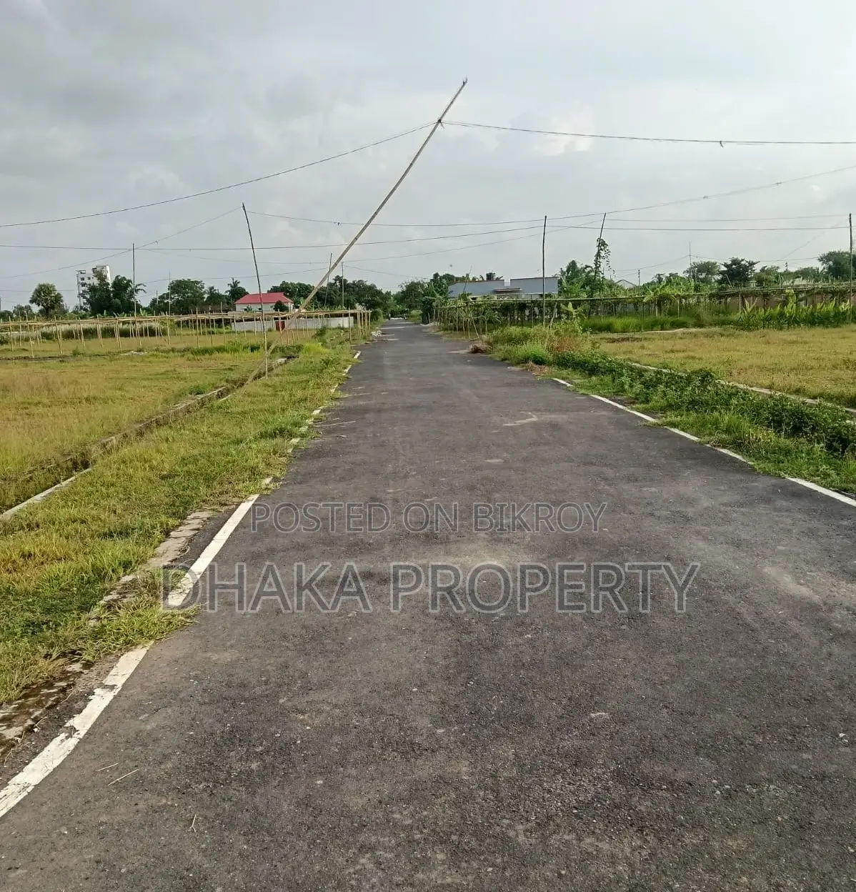 Close to 100ft 5 Katha South Facing at Sector 23