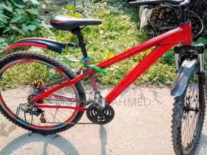 Lpaso 26 Giar Cycle