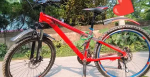 Lpaso 26 Giar Cycle