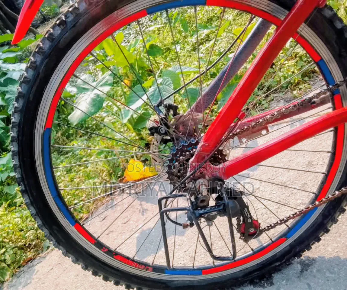 Lpaso 26 Giar Cycle