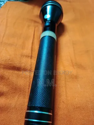 টর্চ লাইট