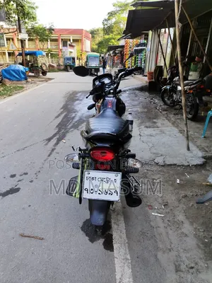বাজাজ প্লাটিনা ১১০ এবিএস ২০২৪ রেড