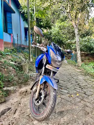 TVS Apache RTR 160 2V 2018 Blue