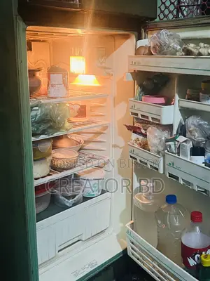 Singer Old Fridge