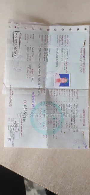 হিরো ২০০৮ লাল