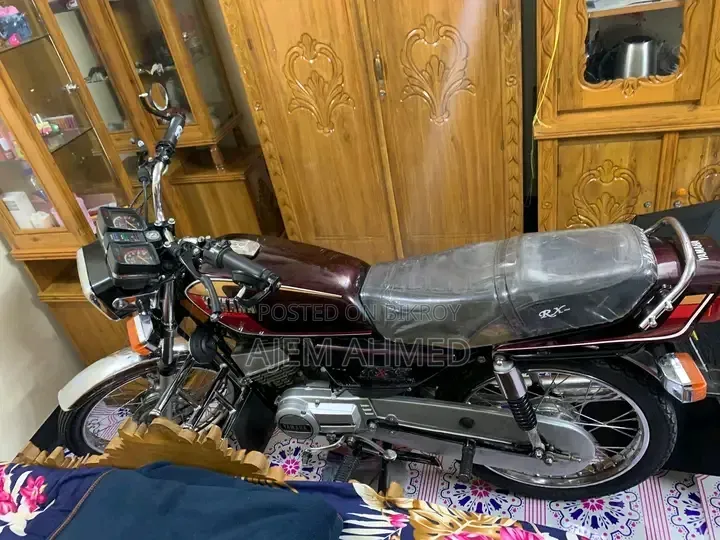 ইয়ামাহা ২০০৪ ব্রাউন