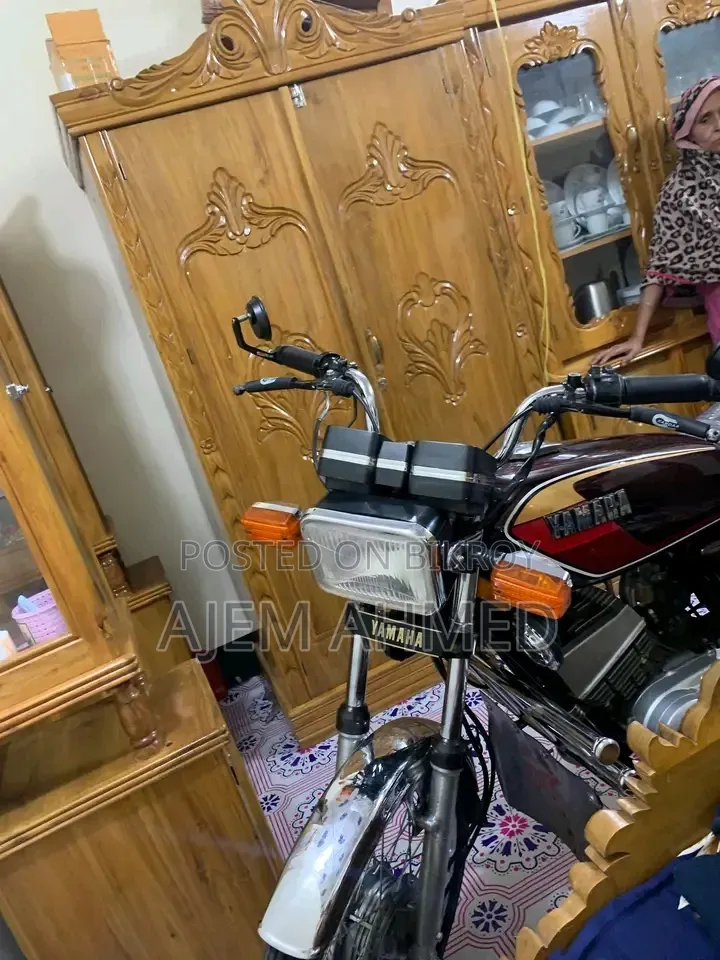 ইয়ামাহা ২০০৪ ব্রাউন