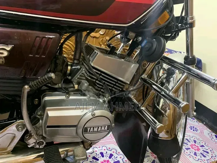 ইয়ামাহা ২০০৪ ব্রাউন