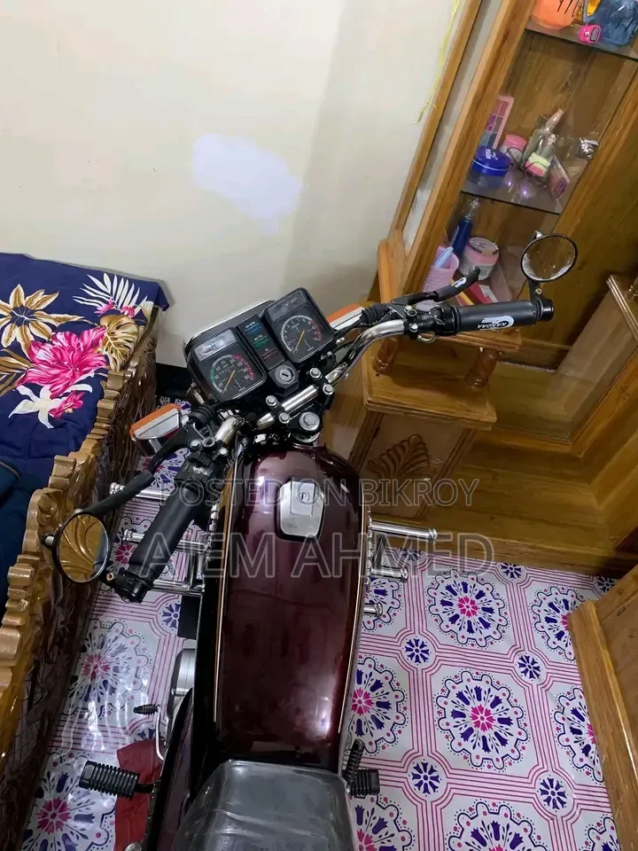 ইয়ামাহা ২০০৪ ব্রাউন