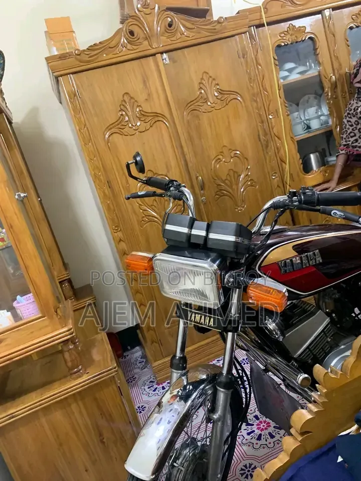 ইয়ামাহা ২০০৪ ব্রাউন