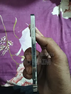 অ্যাপল আইফোন ১২ প্রো ২৫৬ জিবি সাদা