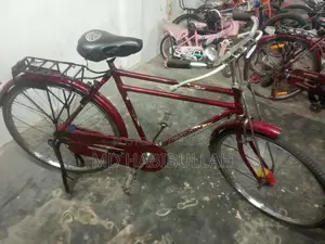Duranta 26 Size Red Cycle