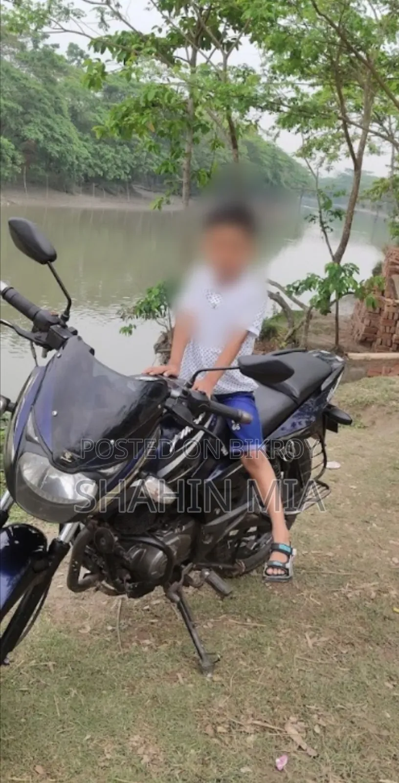 বাজাজ পালসার ১৫০ ২০১৭ পার্পল