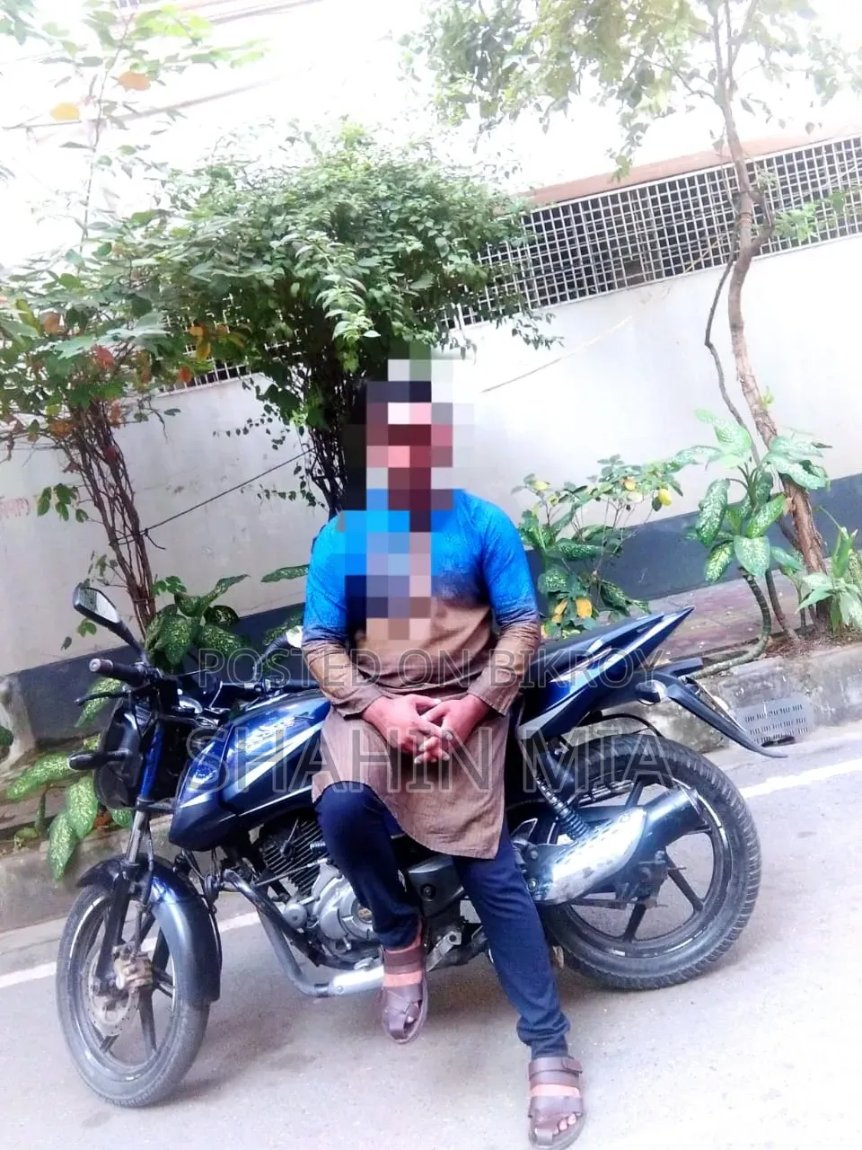 বাজাজ পালসার ১৫০ ২০১৭ পার্পল