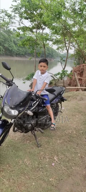 বাজাজ পালসার ১৫০ ২০১৭ পার্পল