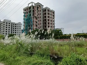 Block-M, South-Facing, 4 Katha, Plot for Sale