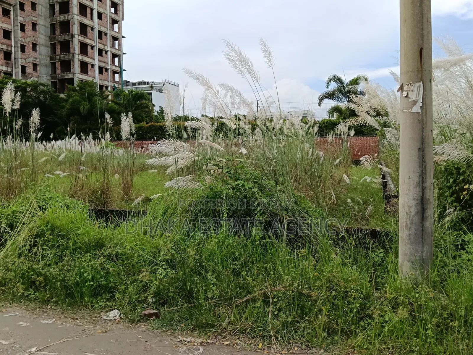 Block-M, South-Facing, 4 Katha, Plot for Sale
