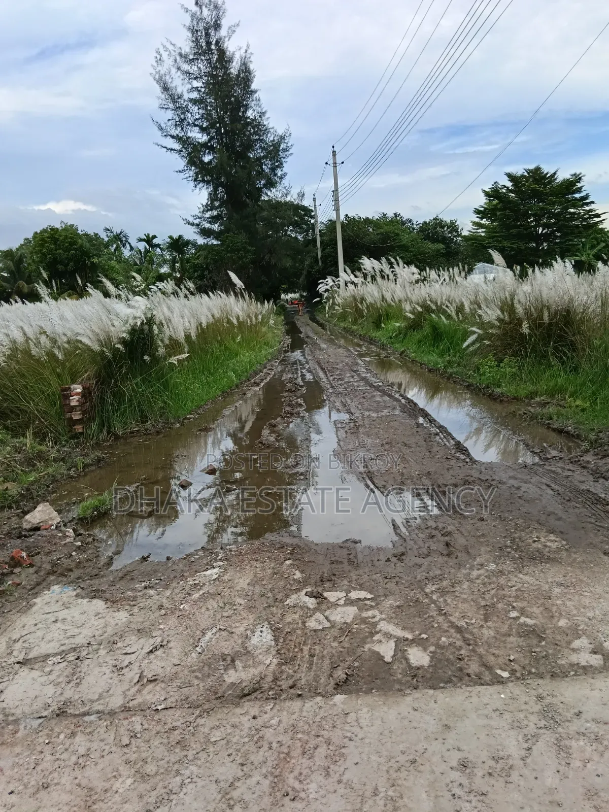 Block-N, South-Facing 3+3=6 Katha Plot for Sale
