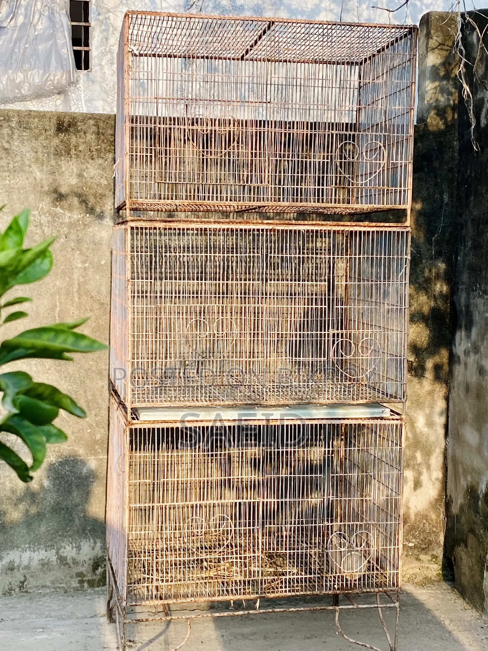 ২ ফুট বাই ২.৫ ফুট খাঁচা