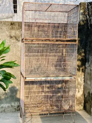 2 Feet by 2.5 Feet Cage