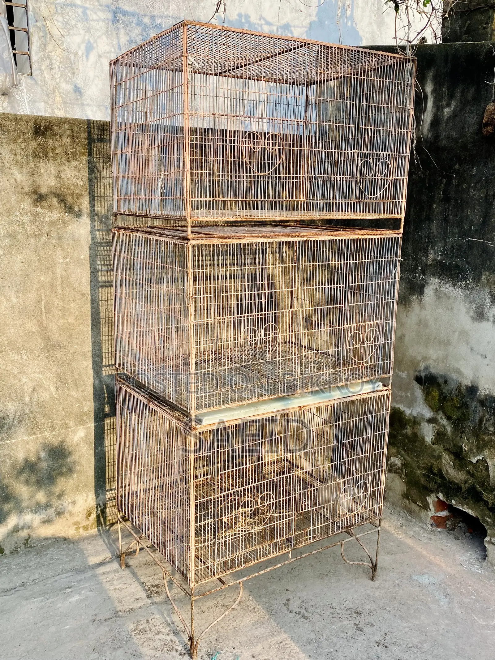 ২ ফুট বাই ২.৫ ফুট খাঁচা
