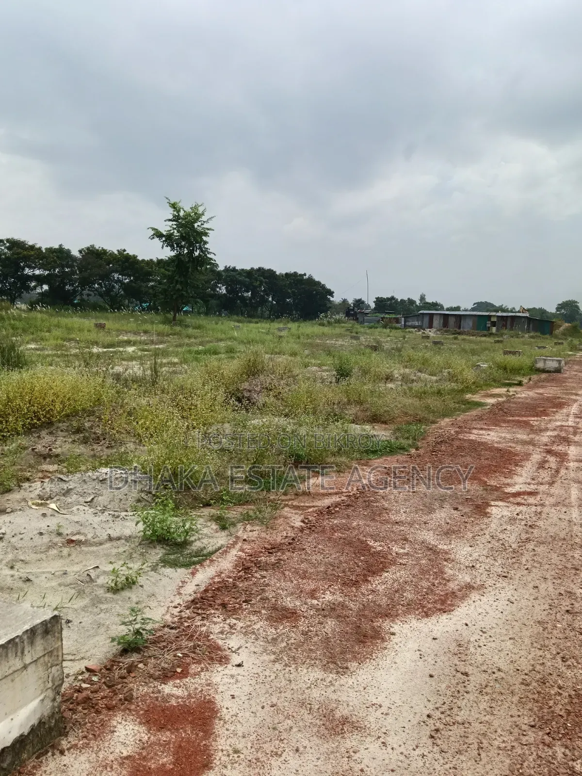 Sector-28, East Facing 3 Katha Plot Sale