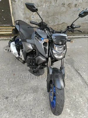 Yamaha FZS V3 2024 Gray