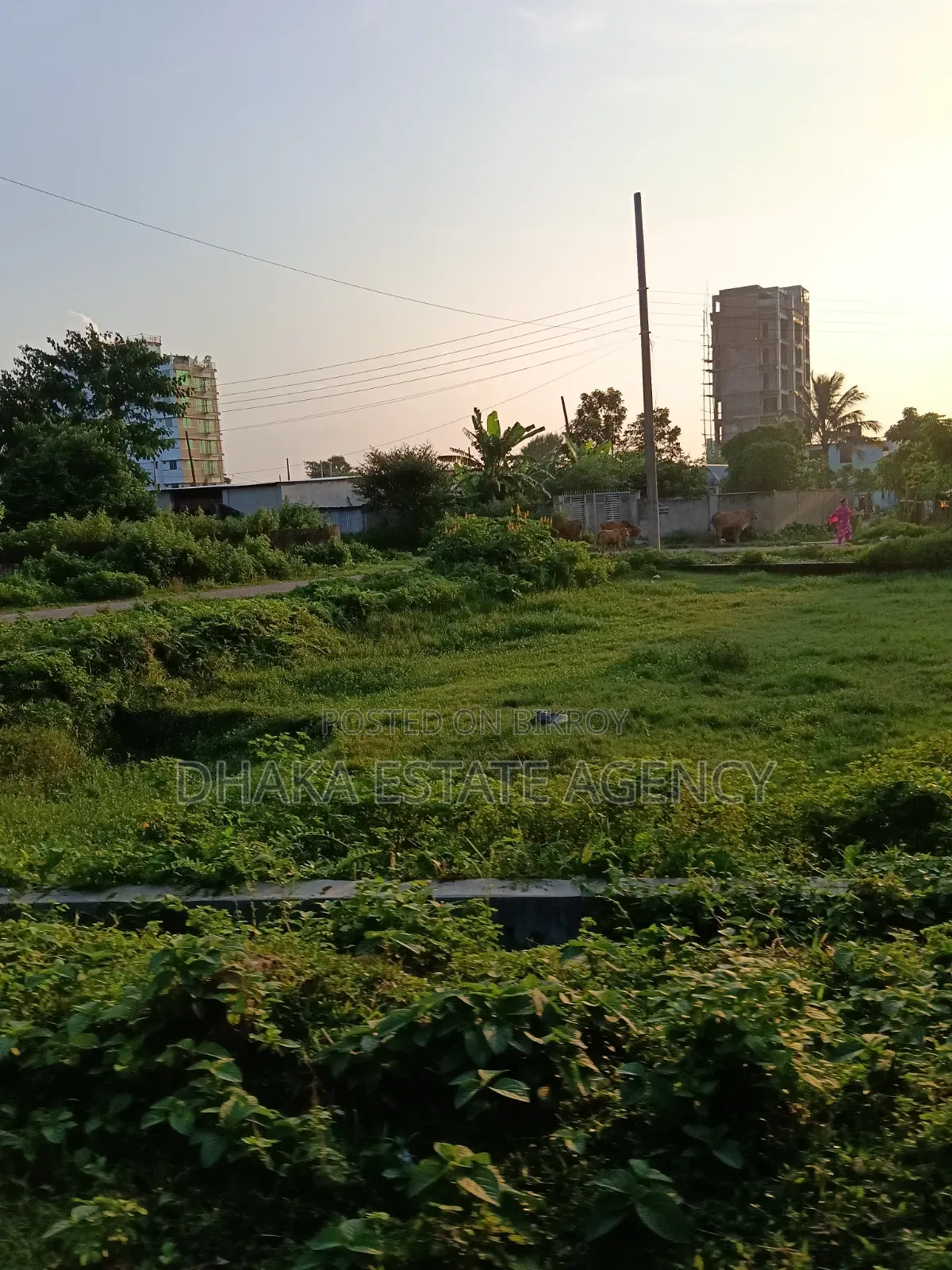 Sector-11, South Facing 5 Katha Plot Sale