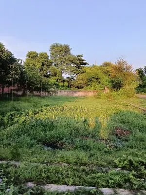 সেক্টর-১৫, দক্ষিণমুখী ৩+৩=৬ কাটা।