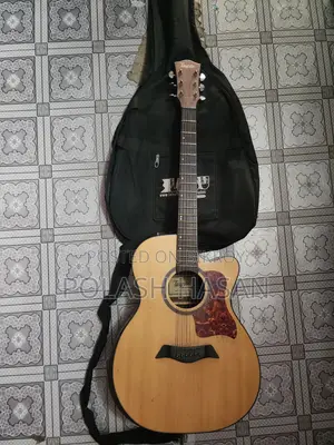 গিটার টেস্টি