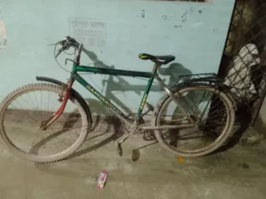 Chinese Bicycle