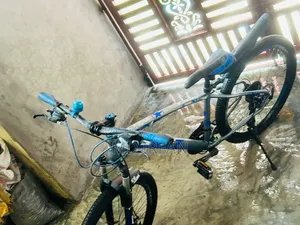 Cycle (Swift Brand)