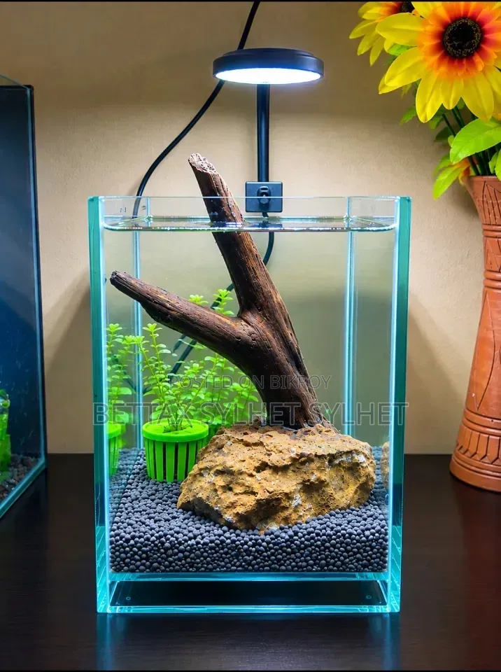 Aquarium Setup