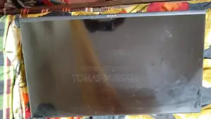 TV with Damaged Panel