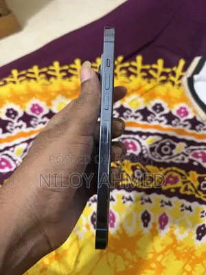 অ্যাপল আইফোন ১৩ প্রো ম্যাক্স ২৫৬ জিবি নীল