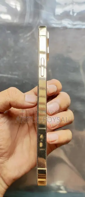 অ্যাপল আইফোন ১২ প্রো ১২৮ জিবি গোল্ড