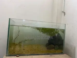 Aquarium Tank
