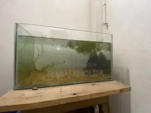 Aquarium Tank