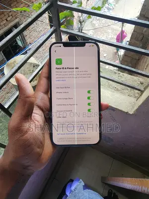 অ্যাপল আইফোন ১২ প্রো ম্যাক্স ২৫৬ জিবি নীল