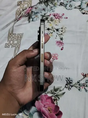 অ্যাপল আইফোন ১৩ প্রো ২৫৬ জিবি গ্রে