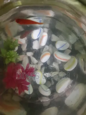 fish for sell