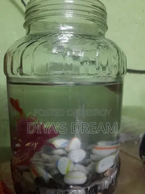 fish for sell