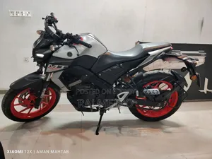 Yamaha MT-15 2022 Gray