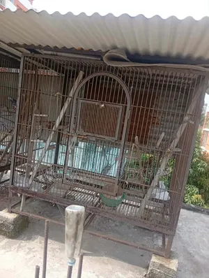 কবুতরের খাঁচা