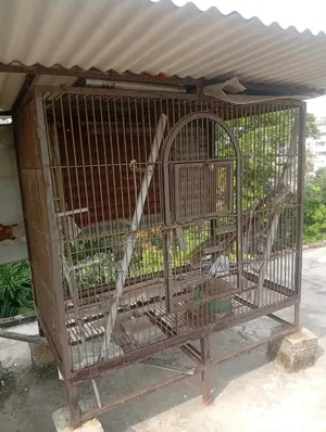 কবুতরের খাঁচা