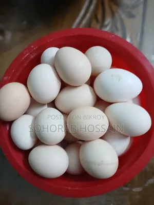 দেশি মুরগির ডিম