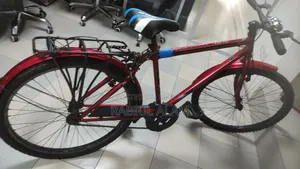 Meghna, Guerrilla Seventy One 26" Bicycle
