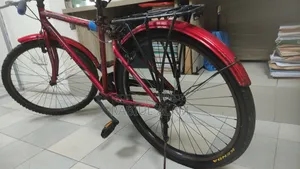 Meghna, Guerrilla Seventy One 26" Bicycle
